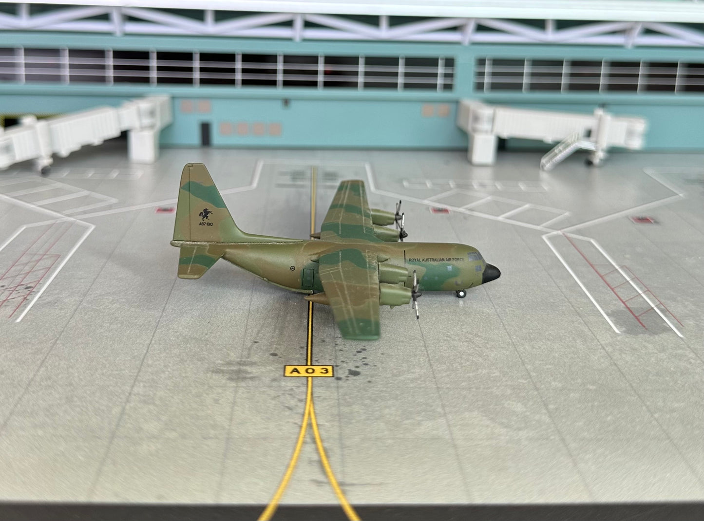 1:400 Royal Australian Air Force Lockheed C-130H Hercules “36 Squadron” Dragon Wings