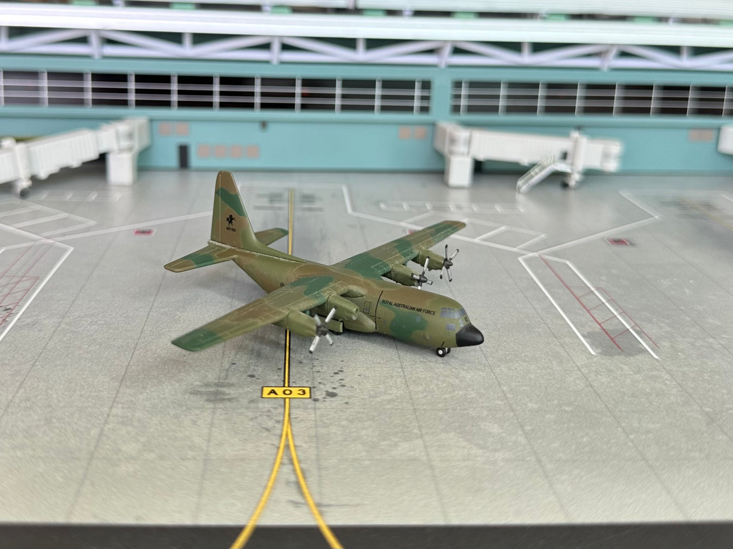 1:400 Royal Australian Air Force Lockheed C-130H Hercules “36 Squadron” Dragon Wings