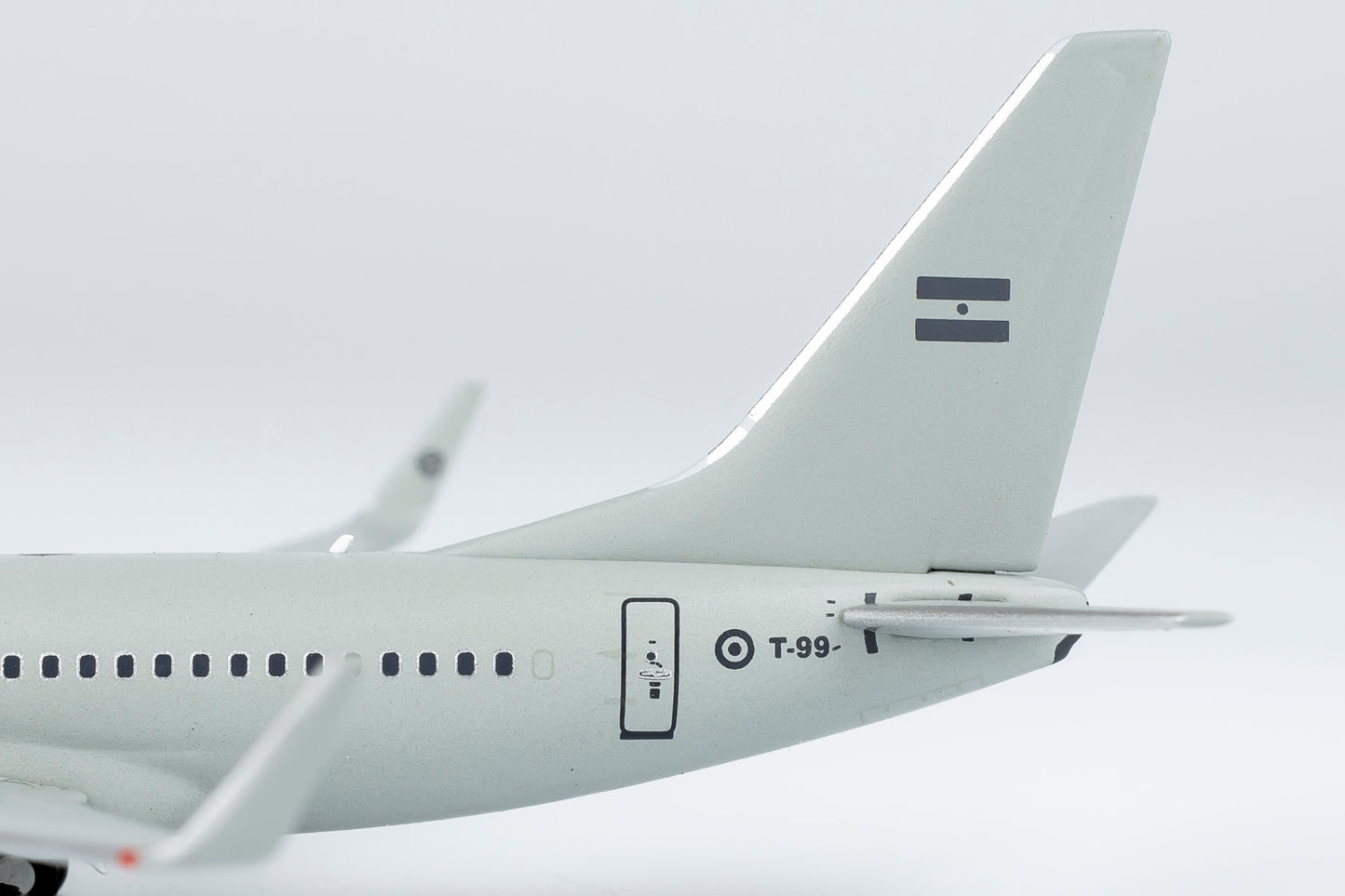 1:400 Argentina - Air Force 737-700 T-99 NG Models