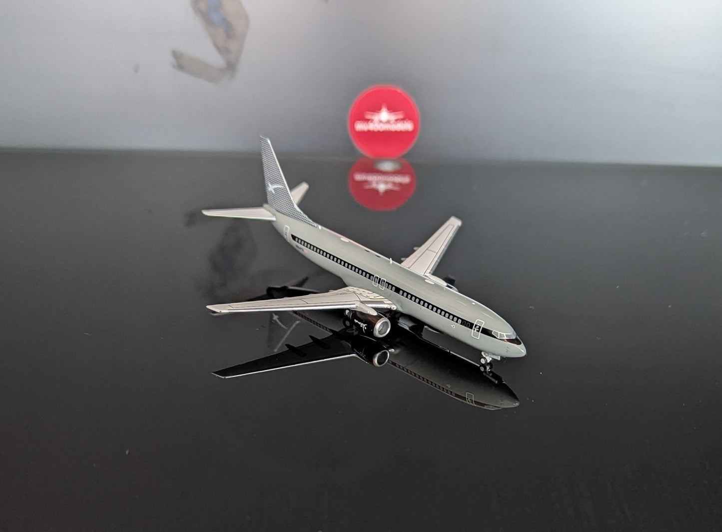 1:400 SpaceX B737-800 Pandamodel
