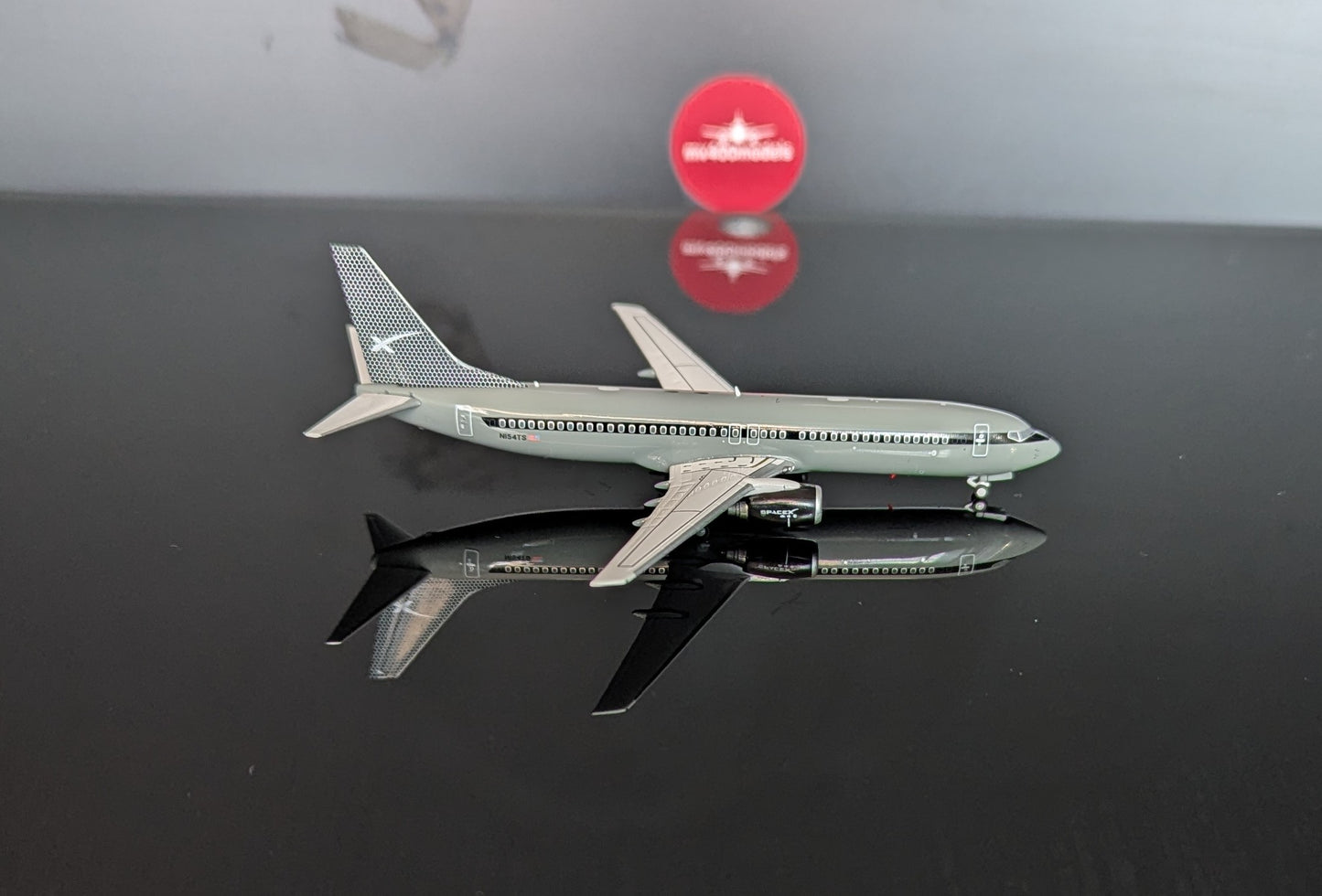 1:400 SpaceX B737-800 Pandamodel